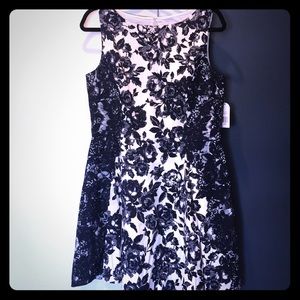 JESSICA SIMPSON DRESS NAVY BLUE & WHITE LACE DRESS